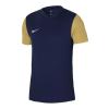 Nike Dri-Fit Tiempo Premier 2 DH8035-411