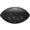 Wilson NFL 32 Team Football Ball WF4015701XB