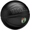 Wilson NBA Team Premiere Boston Celtics Ball WZ4026402XB