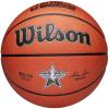 Wilson 2025 NBA All Star Replica Ball WZ2022601XB