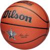 Wilson 2025 NBA All Star Replica Ball WZ2022601XB
