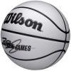 Wilson NBA Player Icon Uv Bskt Lebron WZ4030501XB