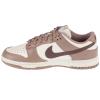Nike Dunk Low DD1503-125
