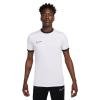 Nike Dri-Fit Academy 25 FZ9754-100