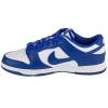Nike Dunk Low Retro DV0833-103