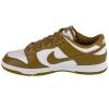 Nike Dunk Low Retro DV0833-105
