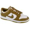 Nike Dunk Low Retro DV0833-105