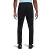 Nike Academy Park 20 FJ3017-010