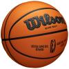 Wilson EVO NXT Africa League Official Game Ball WTB0900XBBA