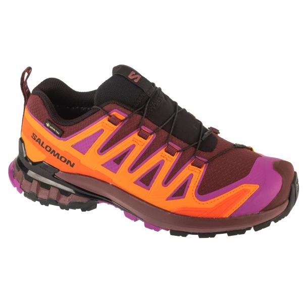 Salomon XA Pro 3D v9 GTX W L47961900