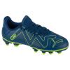 Puma Future Play FG/AG Jr 107388-03