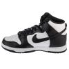 Nike Dunk High DD1869-103