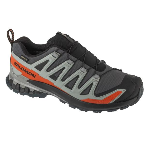 Salomon XA Pro 3D v9 GTX L47817500