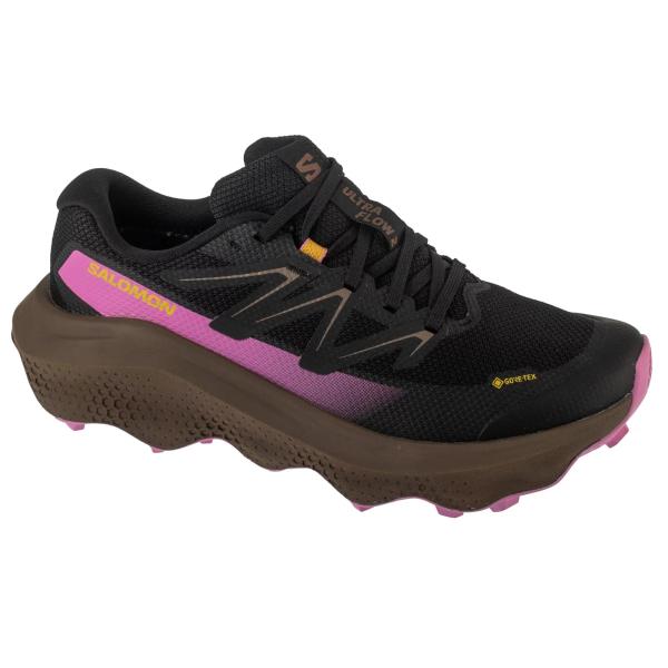 Salomon Ultra Flow 2 GTX W L47884400