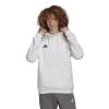 Adidas Entrada 22 HG6302