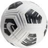 Nike Club Elite Team FIFA Basic Ball FZ7544-100