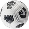 Nike Club Elite Team FIFA Basic Ball FZ7544-100
