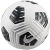 Nike Club Elite Team FIFA Basic Ball FZ7544-100