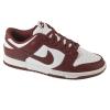 Nike Dunk Low Retro DV0833-115