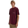 Billabong Stacked Arch Tee EBYZT00175-RSN0