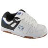 DC Shoes Stag DC01813-100