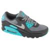 Nike Air Max 90 DM0029-013