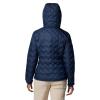 Columbia Delta Ridge II Down Hooded Jacket 2088253464