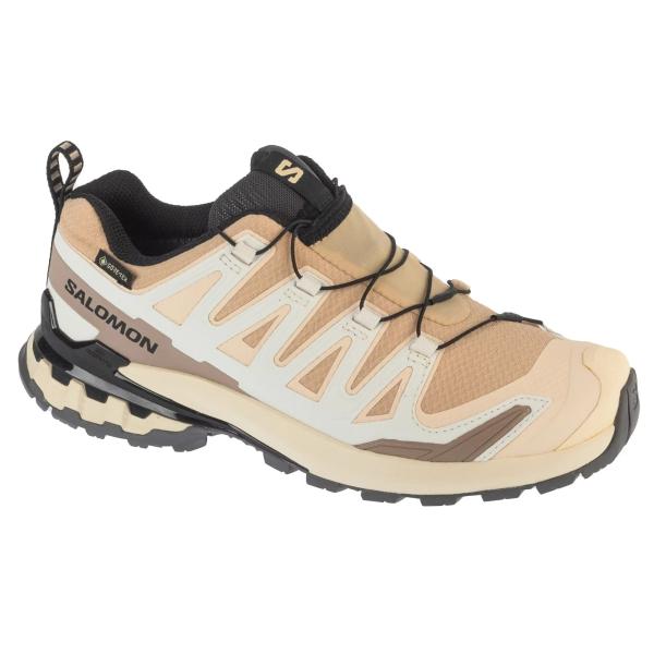 Salomon XA Pro 3D v9 GTX W L47817600