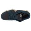 Nike W Dunk Low HF1985-400