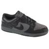 Nike W Dunk Low Retro HF1986-001