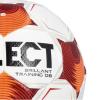 Select Brillant Training DB v25 FIFA Basic Ball 120077