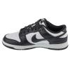 Nike Dunk Low Retro DD1391-100