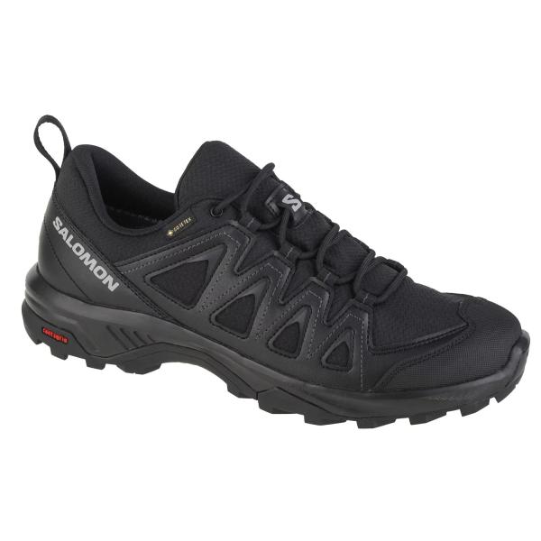 Salomon X Braze GTX L47180400