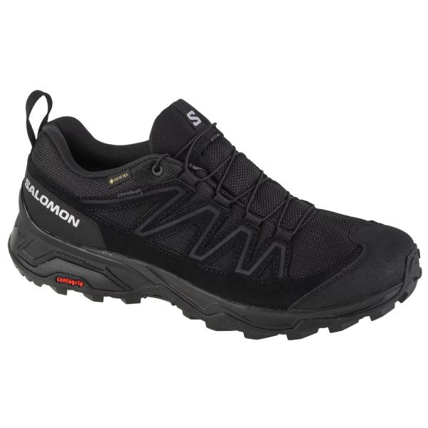 Salomon X Ward GTX L47182300
