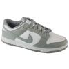 Nike Dunk Low Retro HF5441-105