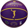 Wilson NBA Player Icon LeBron James Outdoor Ball