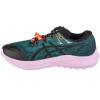 ASICS Fuji Lite 5 1012B690-300