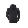 Helly Hansen Logo Hoodie 33977-597