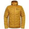 Jack Wolfskin Passamani Down Hoody M A61831-M0043