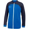 Nike Dri FIT Academy Pro Jr DH9283-463