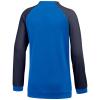 Nike Dri FIT Academy Pro Jr DH9283-463