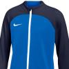 Nike Dri FIT Academy Pro Jr DH9283-463