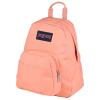 JanSport Half Pint Backpack EK0A5BBI1T51