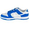 Nike Dunk Low FN3416-001