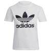 adidas Adicolor Classics Trefoil Tee GN2899