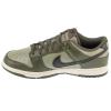 Nike Dunk Low Retro HF5441-300