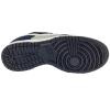 Nike Dunk Low Retro IB3079-400
