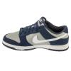 Nike Dunk Low Retro IB3079-400