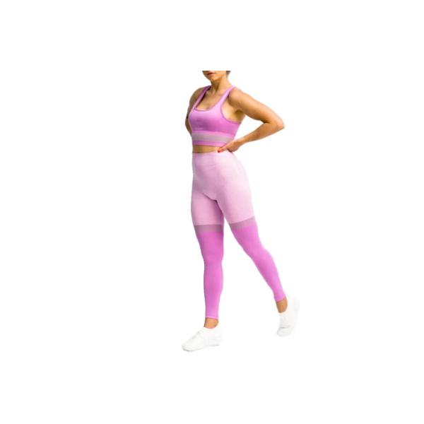 GymHero Leggins Stripes MAUVE