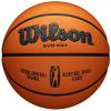 Wilson EVO NXT Africa League Official Game Ball WTB0900XBBA